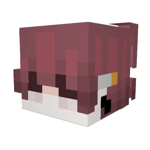 Tanuki4007 Minecraft avatar head, 3D render