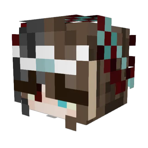 TanukiRookie Minecraft avatar head, 3D render