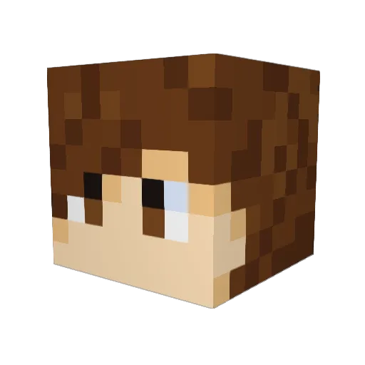Tanukielise Minecraft avatar head, 3D render