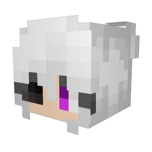 Tanuu Minecraft avatar head, 3D render