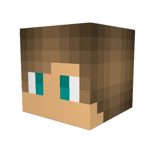 Tanvy14 Minecraft avatar head, 3D render