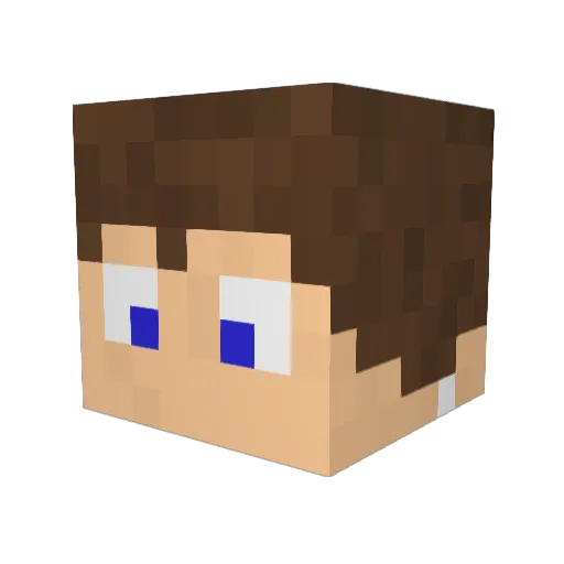 Tanxas Minecraft avatar head, 3D render