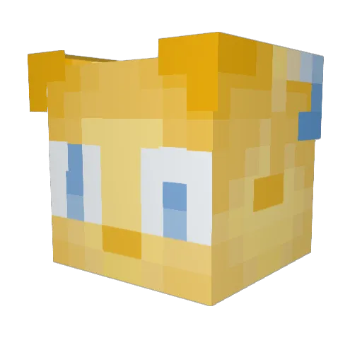 Tanyxie Minecraft avatar head, 3D render