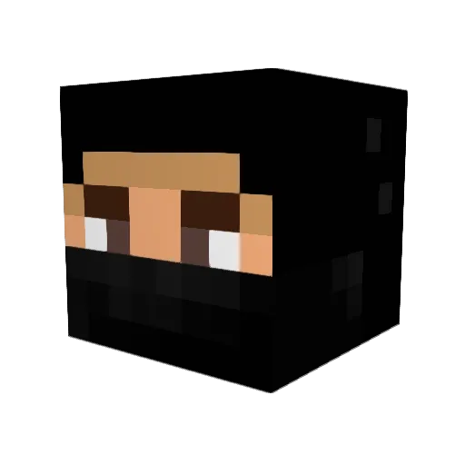 Tanzwolf1 Minecraft avatar head, 3D render