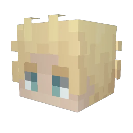 Tao0_0 Minecraft avatar head, 3D render