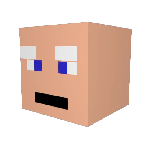 Tao1sm12 Minecraft avatar head, 3D render