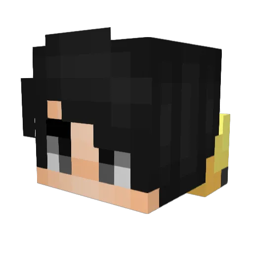 TaoQAQ Minecraft avatar head, 3D render