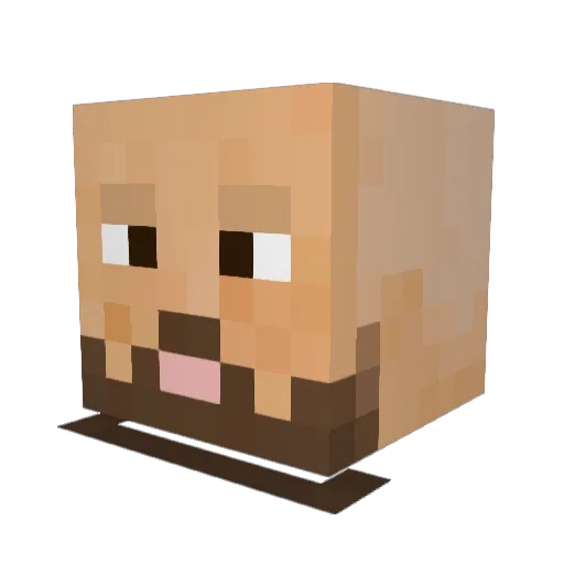 TaoSen Minecraft avatar head, 3D render