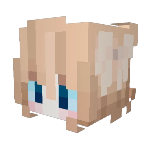 TaoYang01 Minecraft avatar head, 3D render