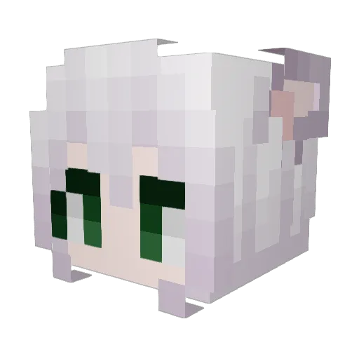 TaoYao_SAMA Minecraft avatar head, 3D render