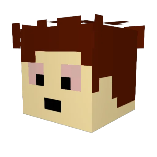 Tao_master Minecraft avatar head, 3D render