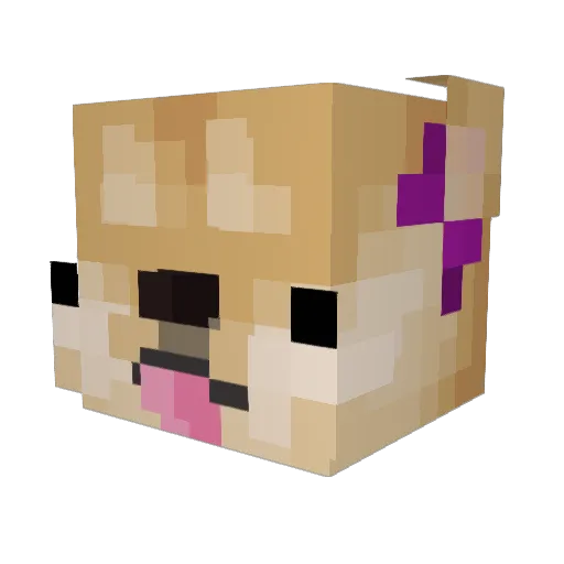 Taoc Minecraft avatar head, 3D render