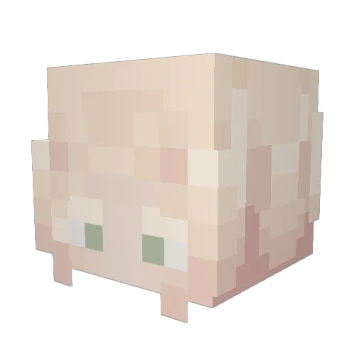 Taochuu Minecraft avatar head, 3D render