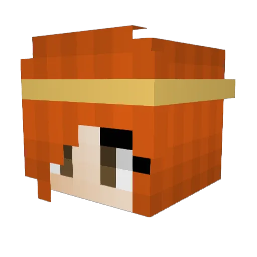 Taohawk Minecraft avatar head, 3D render