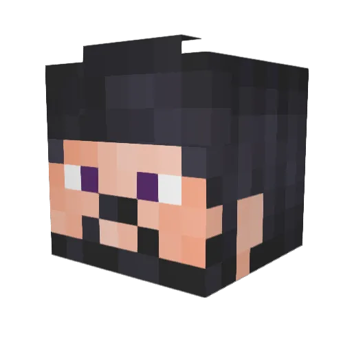 Taohpao Minecraft avatar head, 3D render