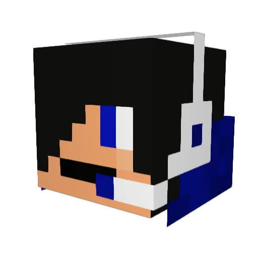Taoki06 Minecraft avatar head, 3D render