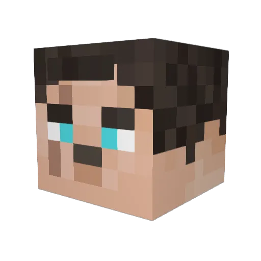 TaoldiR Minecraft avatar head, 3D render