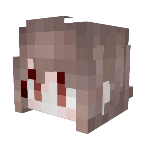 Taoxi_ Minecraft avatar head, 3D render