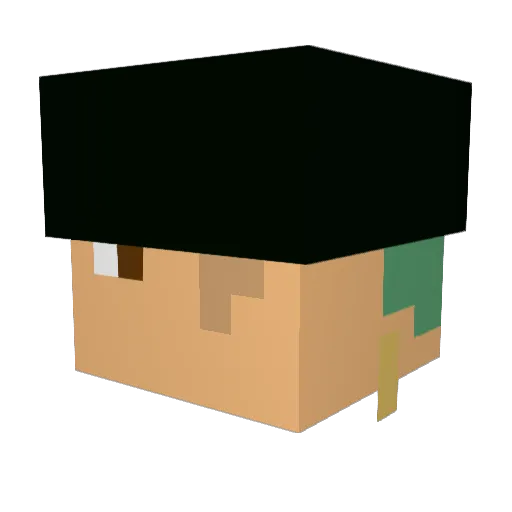 Tap202 Minecraft avatar head, 3D render