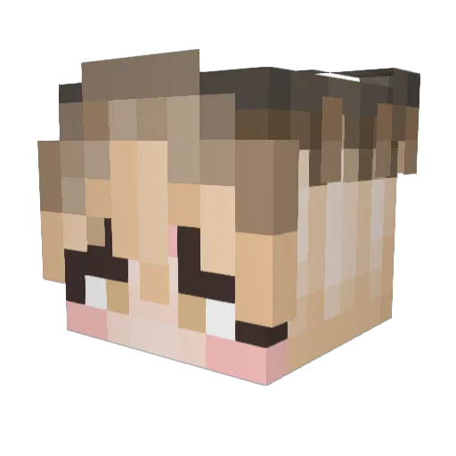 TapBrother1 Minecraft avatar head, 3D render