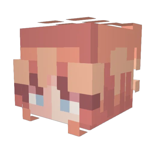 Taparis Minecraft avatar head, 3D render