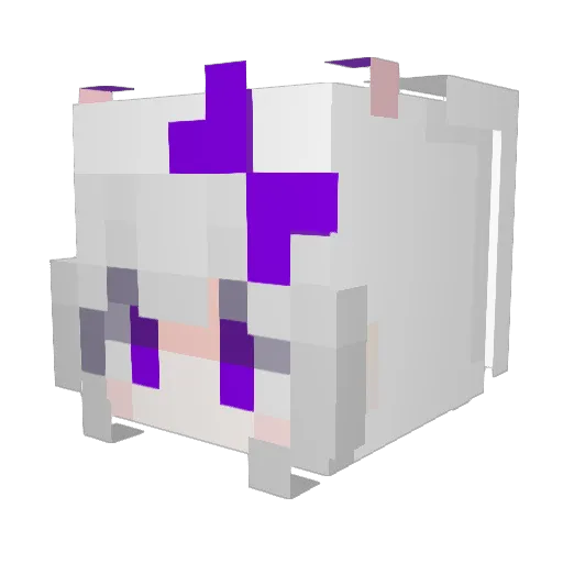 TaperXRekonesans Minecraft avatar head, 3D render