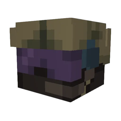 Taper_Nater Minecraft avatar head, 3D render