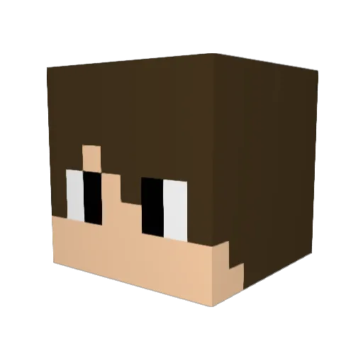 TapetenBaer Minecraft avatar head, 3D render