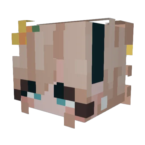 Tapewormcow Minecraft avatar head, 3D render