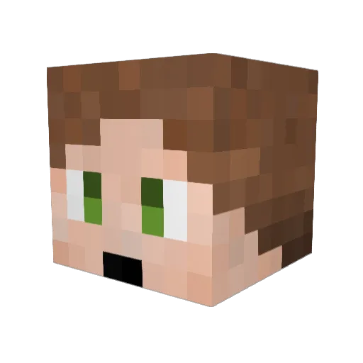 Taphix Minecraft avatar head, 3D render
