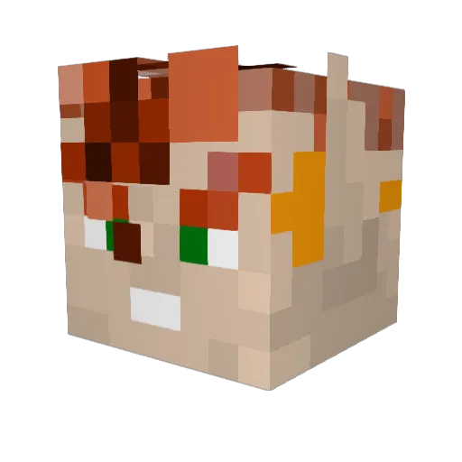 Tapi0n Minecraft avatar head, 3D render