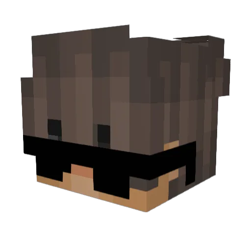 Tapi2 Minecraft avatar head, 3D render