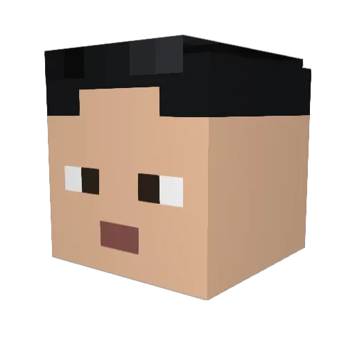 Tapi_123 Minecraft avatar head, 3D render