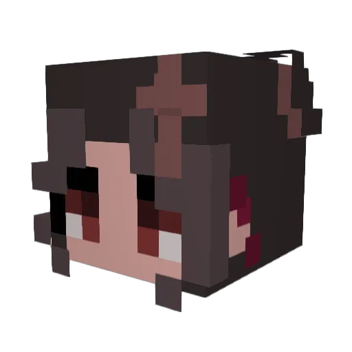 Tapinas Minecraft avatar head, 3D render