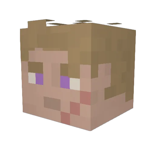 Tapioca666 Minecraft avatar head, 3D render