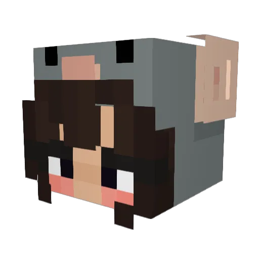 TapitasUwU Minecraft avatar head, 3D render