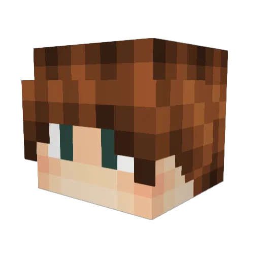 Tapo4k_1 Minecraft avatar head, 3D render