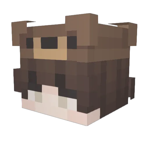 Tappivanu Minecraft avatar head, 3D render