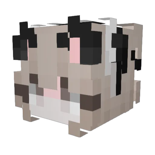 Tappns Minecraft avatar head, 3D render