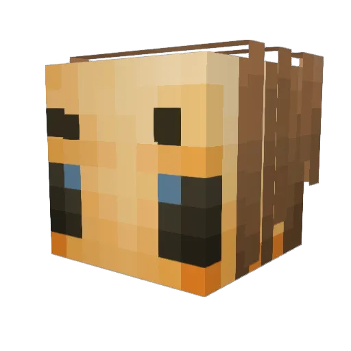 Tappy_Cat Minecraft avatar head, 3D render