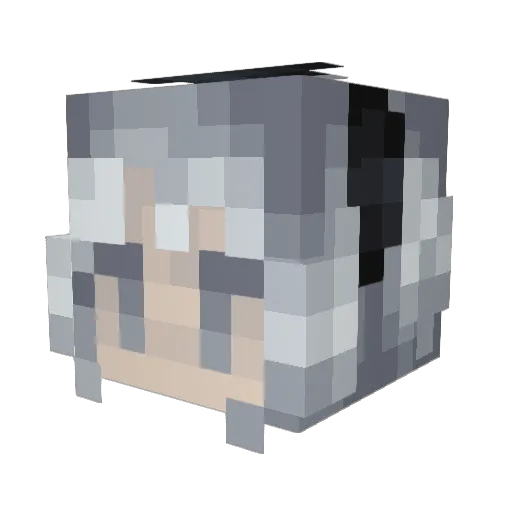Taprus Minecraft avatar head, 3D render