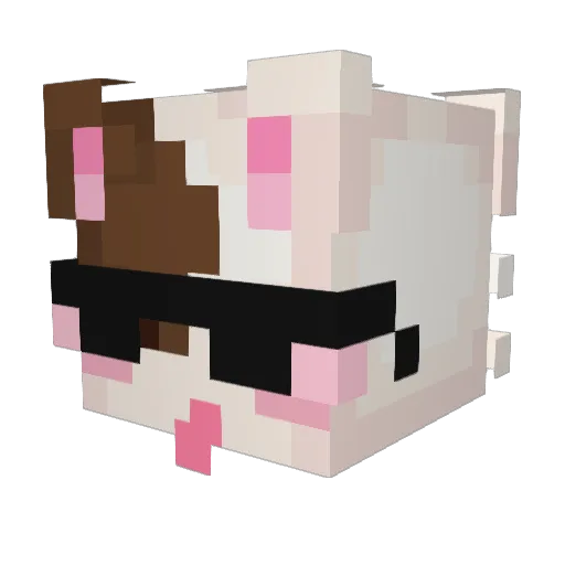 Tapsonaut Minecraft avatar head, 3D render