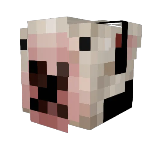 Tapwaterforfun Minecraft avatar head, 3D render