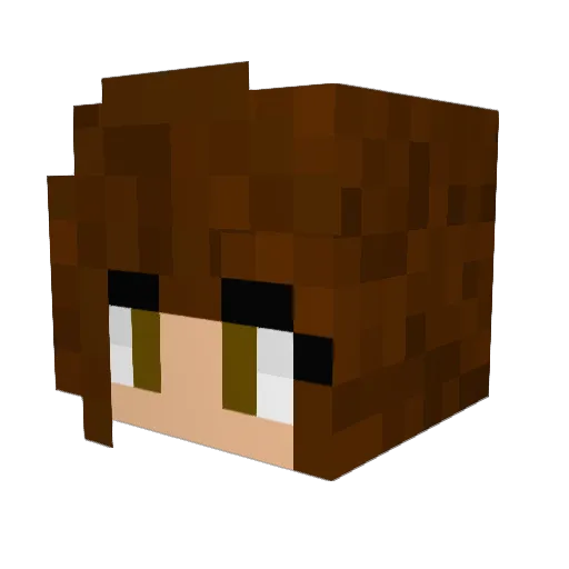 Tapyke Minecraft avatar head, 3D render