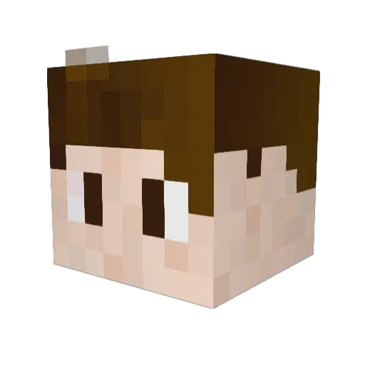 Taq12 Minecraft avatar head, 3D render