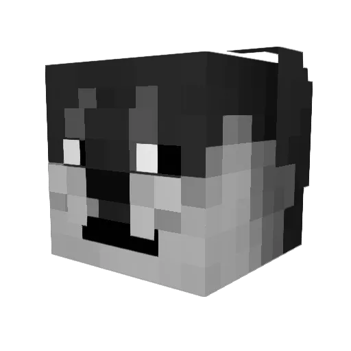 TaqticalGod Minecraft avatar head, 3D render