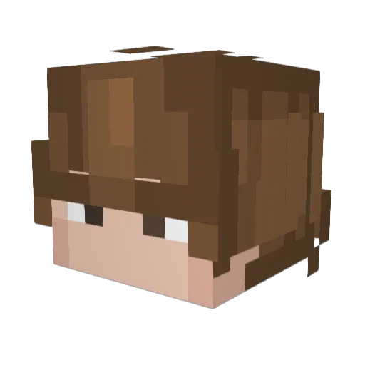 Taqueria_ Minecraft avatar head, 3D render
