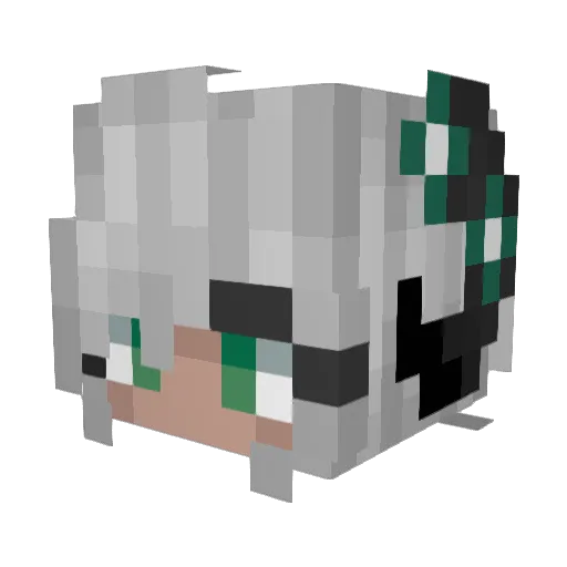 TaquillaGray Minecraft avatar head, 3D render