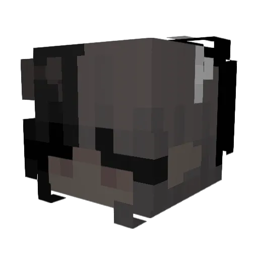 Taquineuse Minecraft avatar head, 3D render