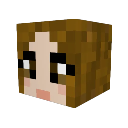 Tara18 Minecraft avatar head, 3D render